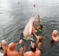 SWIMMING WITH PINK DOLPHINS IN THE AMAZON