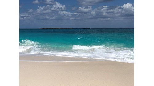 Paradise is Waiting! 