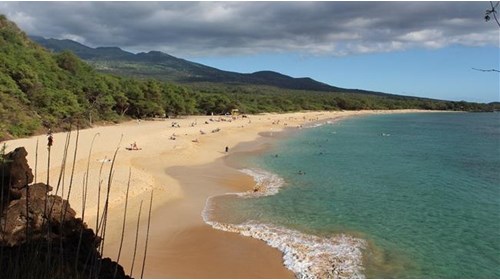 Maui Vacation Travel Agent Specialist