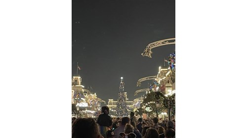 The Magic of Walt Disney World during the holidays