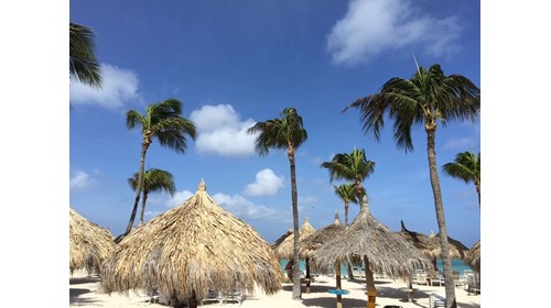Aruba - Fun in the Sun