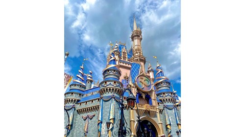 The magic is waiting for you!