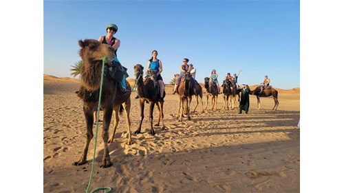 Camel ride in the Sahara Desert (Morocco)