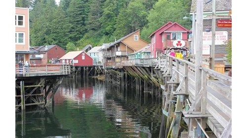 Alaska Cruise & Tour Expert