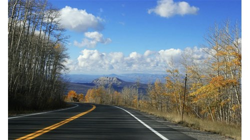 Let's roadtrip!