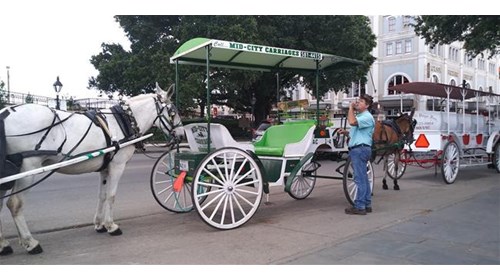 CARRIAGE RIDE AWAITS 