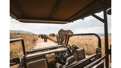 Kruger National Park