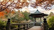 The Adventure and Zen of Japan