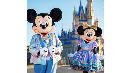 Let's Get You To The Magic!