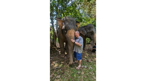 Meet JaNa, my favorite elephant - Phuket, Thailand