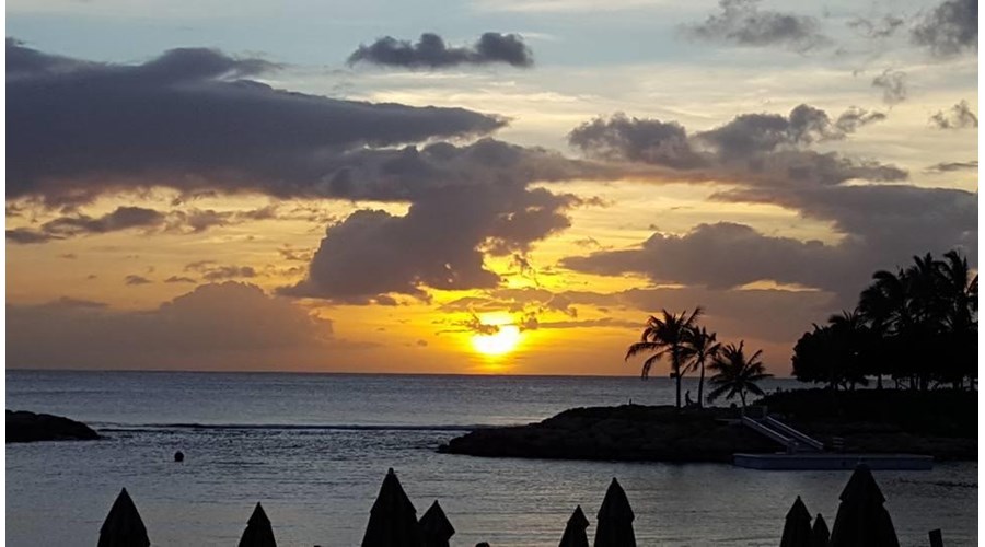 Oahu, Hawaii: Experiencing Paradise in 7 Days