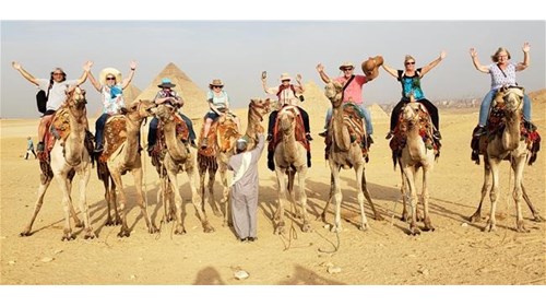 Camels and Pyramids!