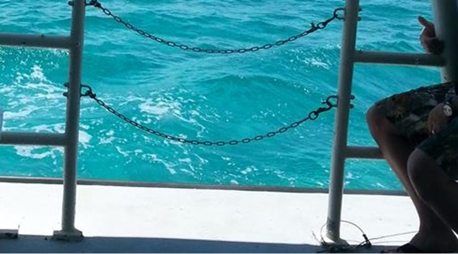 Vacation Itinerary - Bahamas Dolphin excursion