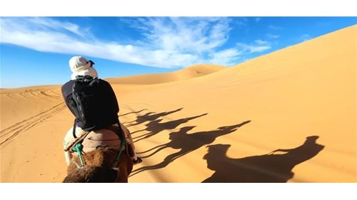 Desert Trek: Camel Ride into the Sahara