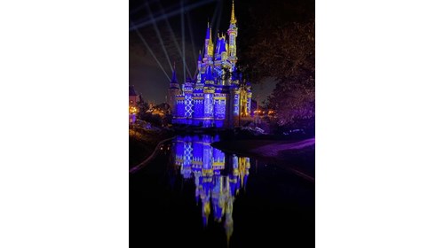 DisneyWorld at night