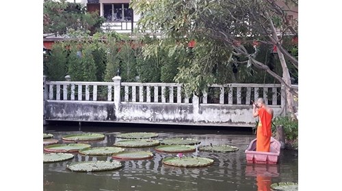 Chiang Mai, Thailand 