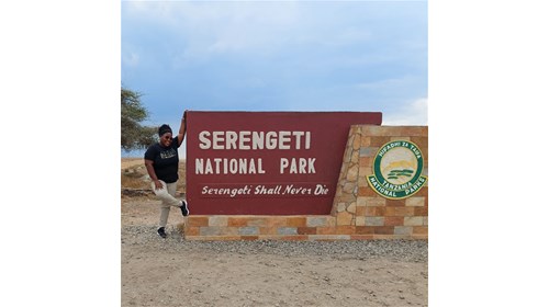 Safari In Tanzania 