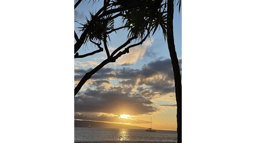 Bermuda
