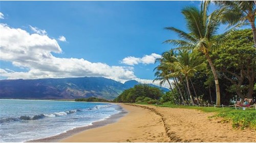 One of the many beautiful Hawaiian beaches 