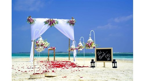 Perfect Beachside Wedding: Say 'I Do' in Paradise