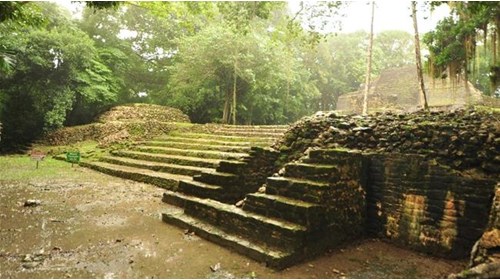 Near the High Temple of Lamanai Mayan Ruins