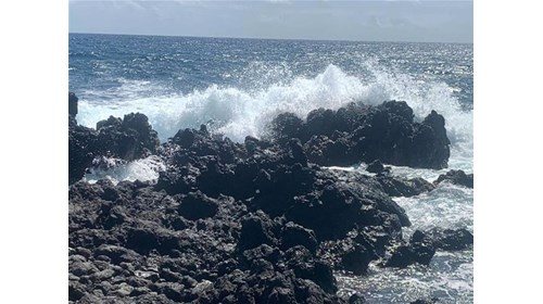 Beautiful black rocks of Hawaii!