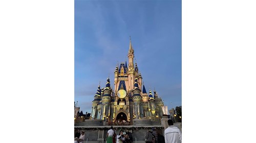 Cinderella Castle during Christmas 2021!