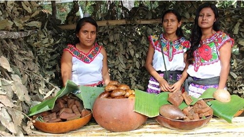 Oaxacan Cuisine