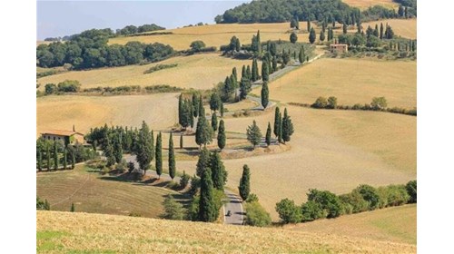 Rolling Hills of Tuscany 