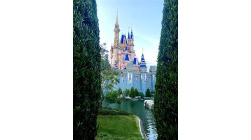 Cinderella Castle-Walt Disney World, Orlando