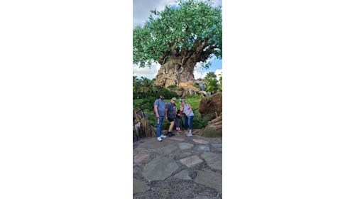 Tree of Life + Family.  Priceless!