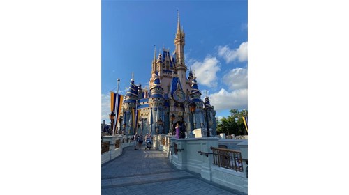Walt Disney World- my top pick for families