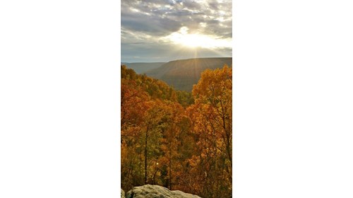 Mountains are the Mind's Best Friend