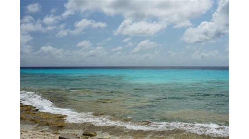 The crystal-clear blue waters of Bonaire.