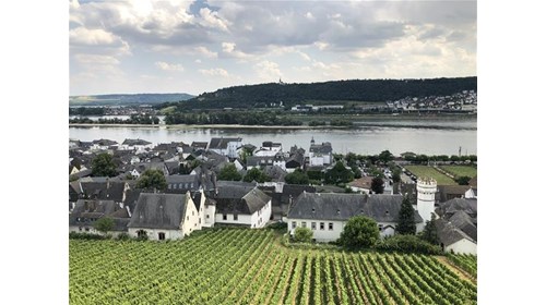 Wine on the Rhine