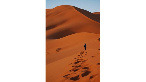 Spectacular Sahara!