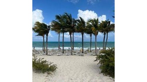 Palm trees, white sandy beaches and a warm breeze!