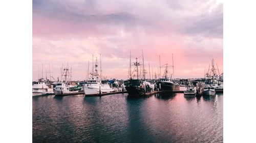 San Diego CA 