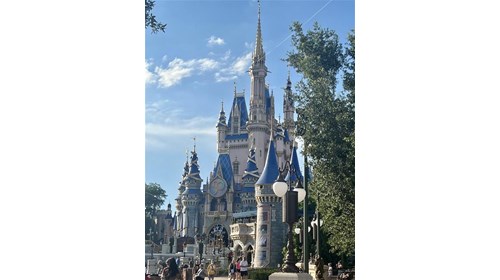 Cinderella's Castle in all her beauty!