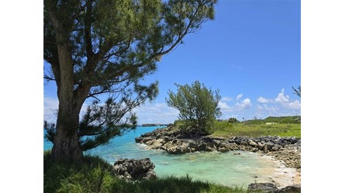 Beautiful Bermuda