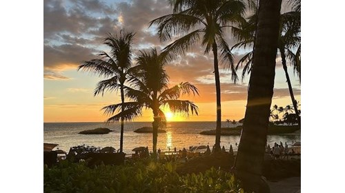 Aulani, A Disney Resort & Spa Specialist