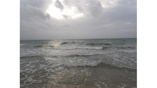  A walk on the beach early morning (Hollywood, FL)