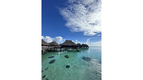 Hilton Moorea- Overwater Bungalow
