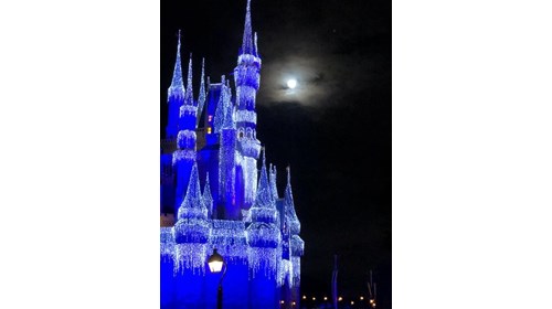 Cinderella's Castle in winter!