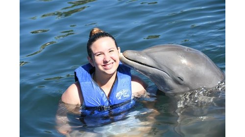 Dolphin encounter at Ocean World in Dominican Rep.