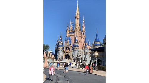 Disney Magic Kingdom 50th Anniversary 