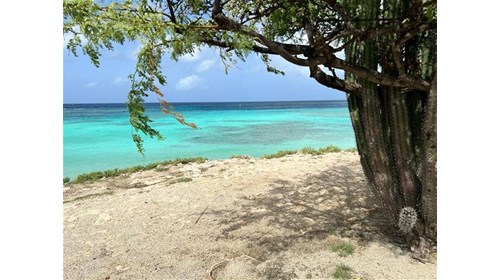 Aruba - Manchebo Beach in 2023