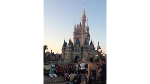 Disney World