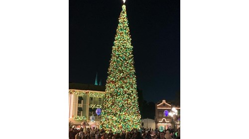 Christmas at Disneyland 