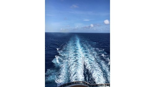Cruise ship wake
